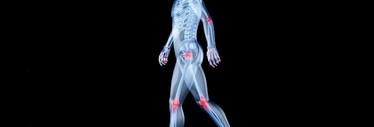 Un corps en image de synthèse avec les articulations en rouge